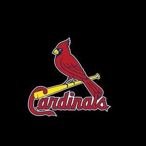 Meet your Posher, Hayden